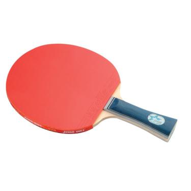 Imagem de Raquete Tenis De Mesa Dhs 1002 Com Capa Treino Classica 
