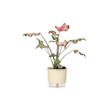 Imagem de Vaso Autoirrigável Médio N03 16cm x 14cm - Terrazzo Calcário