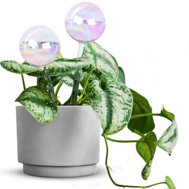 Imagem de EcoNour 2 globos de vidro com autorirrigação iridescente leve | irrigador automático de plantas para uso interno e externo | Oferece até uma semana de hidratação | Ideal para amantes de plantas