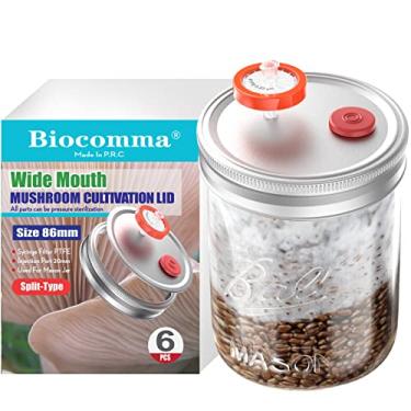 Imagem de Biocomma Tampa de cultura líquida 6 peças para cultivo de grãos com filtro de seringa PTFE e portas de injeção de autorcura de 20 mm para micologia em cultivo de cogumelos (tipo divisão de boca larga (prata))