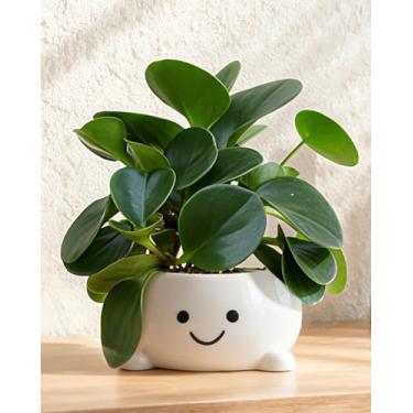 Imagem de GaloTrek Smily Face Vaso de vaso sanitário engraçado vaso sanitário bonito vaso de cerâmica flor cabeça vasos suculentas para plantas internas e externas plantador de banheiro exclusivo com orifício