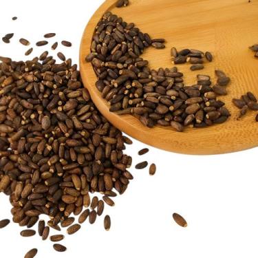 Imagem de Chá De Cardo Mariano (sementes) 100% Natural - 100g - Terra Vitta