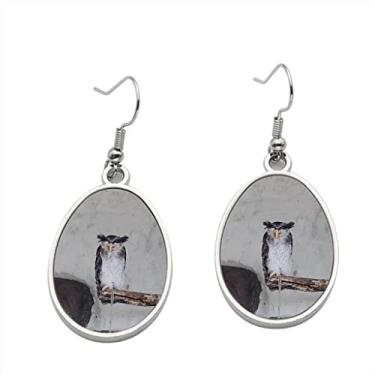 Imagem de Brinco de coruja de águia malaia barred – Brincos com pingente para meninas – Presente de festa de aniversário dos namorados