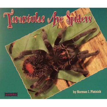 Imagem de Tarantulas Are Spiders -