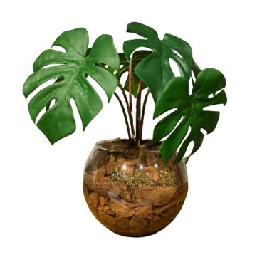 Imagem de Arranjo Centro de Mesa Mini Costela de Adão Artificial Completo