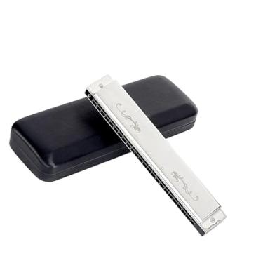 Imagem de Para Iniciantes harmônica Gaita Tremolo de 24 furos cor prata para iniciantes e adultos com estojo(C)