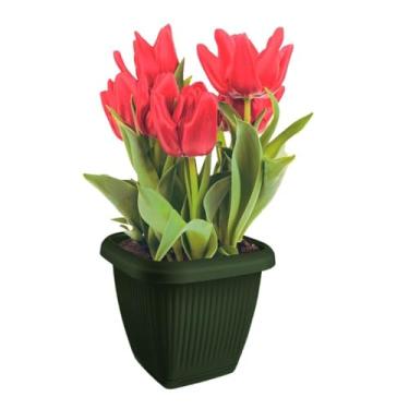 Imagem de Vaso De Plantas Quadrado C/Prato 1,7L em Polipropileno (Verde)