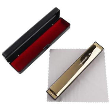 Imagem de Gaita profissional profissional 10 e 24 furos 8K titânio tremolo tom chave C (tipo B)