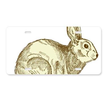 Imagem de DIYthinker Placa de licença para decoração de carro de aço inoxidável Festival de Religião da Páscoa