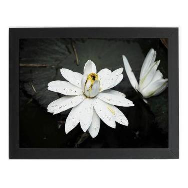Imagem de Quadro Nenúfar Branco Lírio Lótus Moldura Preta 60X40Cm - Plimshop
