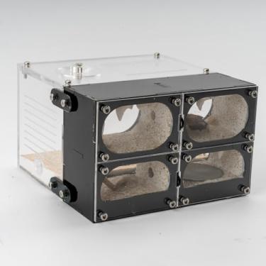 Imagem de Terrário acrílico para formigas – Sistema de habitat de ninho de formigas, câmaras de observação para formigas vivas e rainha – Educacional para adultos