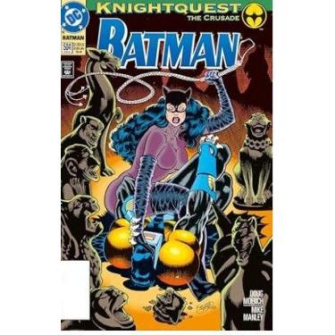 Imagem de A Saga do Batman Vol. 10/46 - PANINI BRASIL