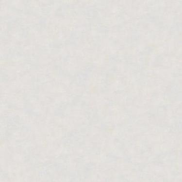 Imagem de Papel de Parede Nature Cimento Queimado Cinza TONU8003 - Topli