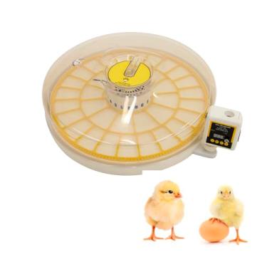 Imagem de Incubadora de 35 ovos com visor automático de temperatura de giro de ovos, espaçamento ajustável da roda para chocar galinha, pássaro, pato, codorna, ovos