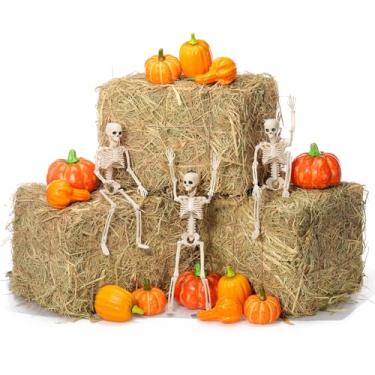 Imagem de GlikCeil Conjunto de 18 peças de fardos decorativos de palha para o Dia das Bruxas, inclui esqueletos articuláveis de corpo inteiro de 30 cm, pacote com 3 fardos de feno, 12 abóboras artificiais para