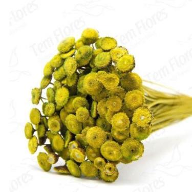 Imagem de 400 Botão Amarelo Desidratado Sempre Viva Flores Secas - Pense Flores