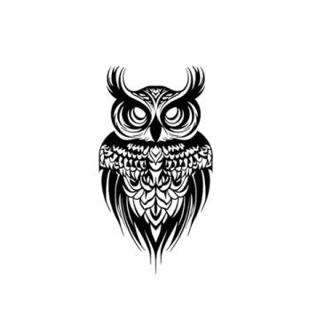 Imagem de Tatuagens temporárias, olhar de coruja, tatuagens de coruja, resistentes à água, duram de 1 a 2 semanas, resiliência, aparência de tatuagem real,18 x 10,5 cm