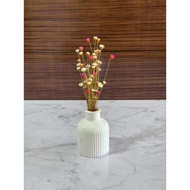 Imagem de Arranjo de Flores SempreVivas Naturais em Vaso Decorativo, 15 cm, Bran