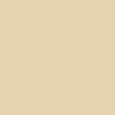 Imagem de Papel Color Plus - Bege - Sahara (10UN)