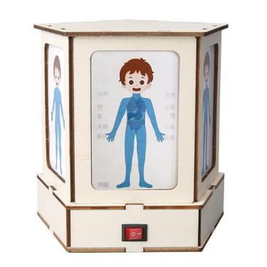 Imagem de Kit de experimentos científicos STEM para corpo humano de madeira para