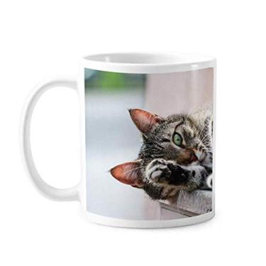 Imagem de Caneca de foto de gato de atividade animal Caneca cerâmica café porcelana louça
