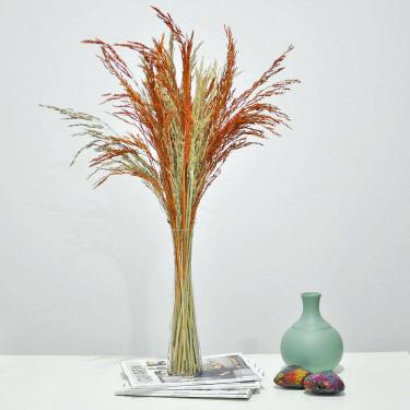 Imagem de Arranjo de flores desidratadas capim terracota + vaso de vidro