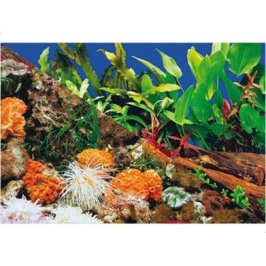 Imagem de Enfeite Painel Imagem Para Aquario Doce Marinho 30x20cm N1 - STEELLPET