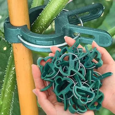 Imagem de 20 peças Horticultura Borboleta Orquídea Tomate Planta Clipes Fixos Reutilizáveis Suporte de Estufa para Plantas de Jardim, G (6 * 4,5 cm)