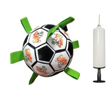 Brinquedos interativos, Conjunto de jogos de bola de balanço para crianças,  Brinquedos de jogo em família com 24 bolas, Jogos de esportes divertidos ao  ar livre para meninos e meninas