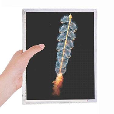 Imagem de Caderno de imagens da natureza da ciência oceânica, folha solta, diário recarregável, papelaria