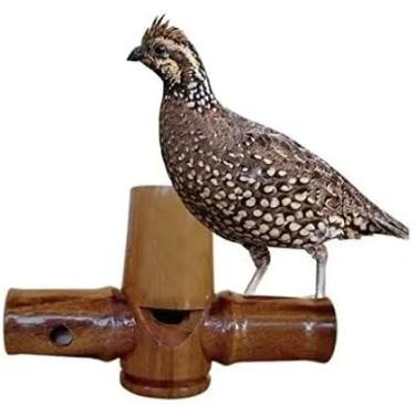 Imagem de Apito Pio De Madeira Uru 16 Pio Profissional Ave Passarinho