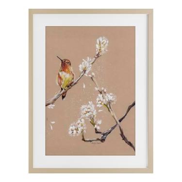 Imagem de Stupell Industries Impressão emoldurada de beija-flor em galho de bétula sob vidro, design por Cady Driver, 50 x 35 cm