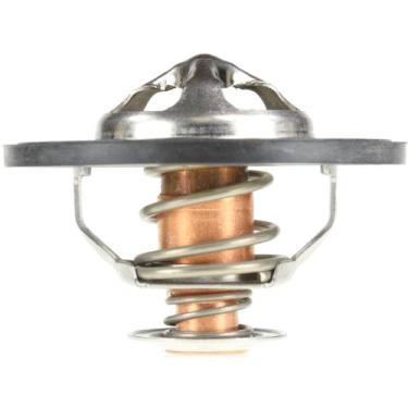 Imagem de MotoRad Termostato 390-195