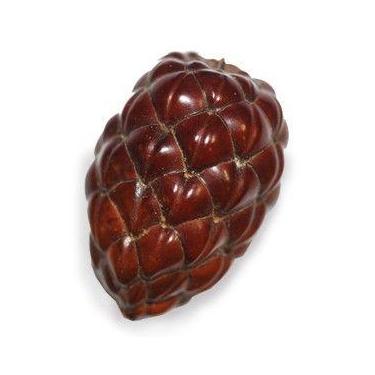 Imagem de Fava pinha de oxossi grande - CASA FÉ
