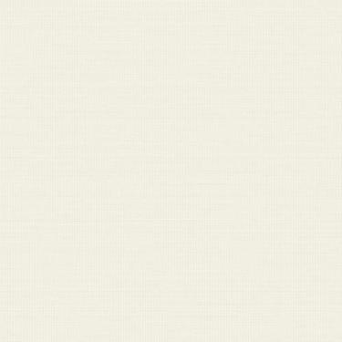 Imagem de Papel de parede Texture III off White TX-3006 Edantex