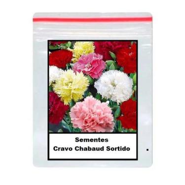 Imagem de 50 Sementes De Tagetes Anão Dobrado Sortido - TOPSEED