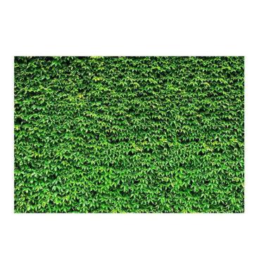 Imagem de Fundo Fotográfico Muro Inglês 2,2X1,5 Fff-504