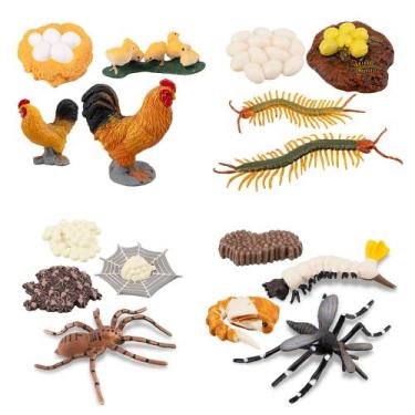 Imagem de Kit de brinquedos para estatuetas de animais Toymany Life Cycle of Chi