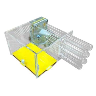 Imagem de predolo Brinquedos educativos Nest Habitat fáceis de montar, estojo de criação de formigas, oficina para sala de estar, dia crianças, mesa, casa, 1.8cm