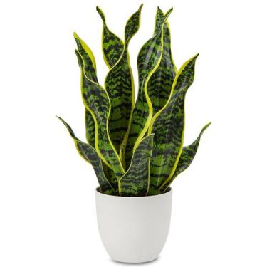 Imagem de Planta de cobra artificial Hollyone em vaso Sansevieria Trifasciata
