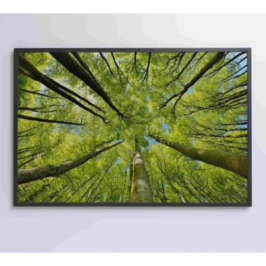 Imagem de Quadro árvores 60x40 Cm Adesivo Fotográfico