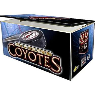 Imagem de NHL Phoenix Coyotes Gamebox