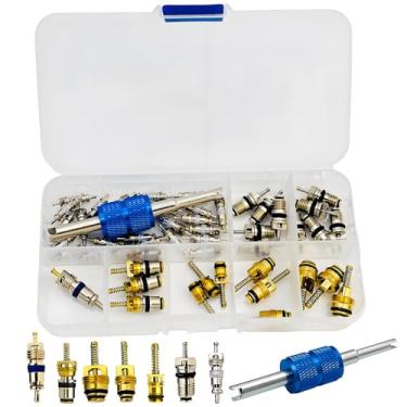 Imagem de Kit de núcleo de válvula de ar condicionado de carro 49 peças, A/C R12 R134a Kit de reparo de núcleos de válvula de refrigeração HVAC para carro, ferramenta de instalação de desmontagem dupla de