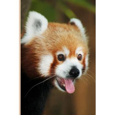Imagem de Notebook: Adorable Red Panda Notebook Journal For Animal Lovers | 6x9 120 Pages Wide Ruled Journal Diary