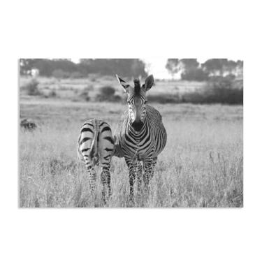 Imagem de Decoração de parede com estampa de zebra, zebra preta e branca, imagem mãe de Hartman, pintura animal preto e branco, arte de parede, closeup, relaxamento/calmo, sala de estar, quarto, decoração de