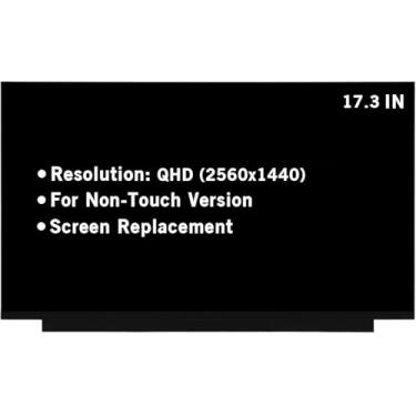 Imagem de hoyrtde Tela De Substituição 17,3" Para Ne173Qhm-Ny1 Ne173Qhm-Ny2 Dra0 Ne173Qhm-Ny3 Boe0977 Boe099D 165Hz 40Pin Qhd 2K 2560X1440 Ips Painel Exibição Led Lcd (Versão Sem Toque)