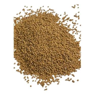 Imagem de Semente De Mostarda Amarela 100g - Life Magazine