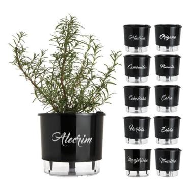 Imagem de Vaso Raiz Auto Irrigável Preto 16cm N3 Autoirrigável Tempero, Alecrim