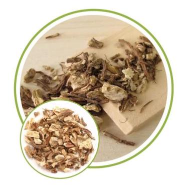 Imagem de Folhas de Angélica Raiz 100g - SEEDS