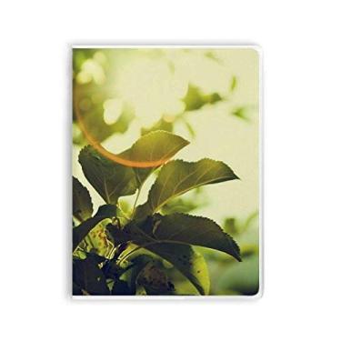 Imagem de Caderno de folhas de sol com imagem de plantas e capa macia Diário